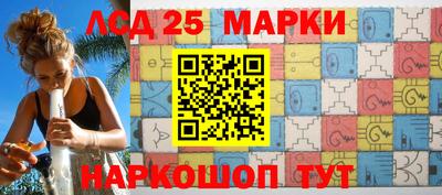 спиды Кингисепп