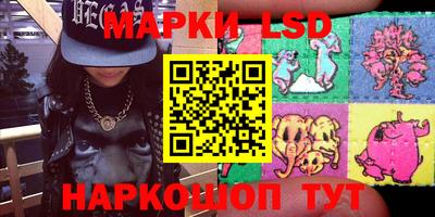 спиды Кингисепп