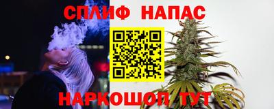 спиды Кингисепп