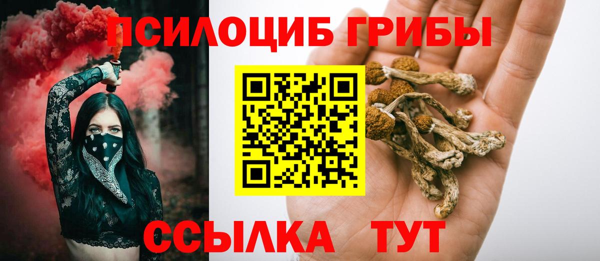 Псилоцибиновые грибы прущие грибы Комсомольск-на-Амуре